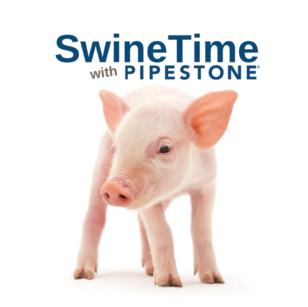 Episode 13: We slowed pigs down: What was the effect and where do we go from here?