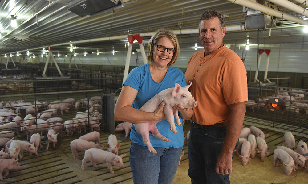 Keeping Antibiotics in the Arsenal: Pigs Can Still Get Sick