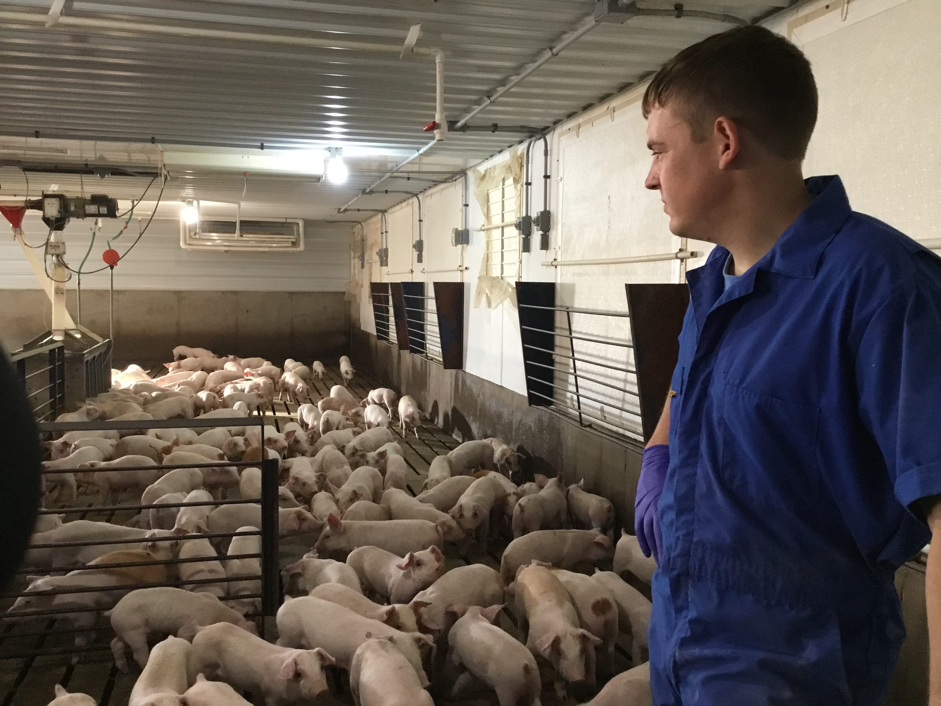 Idlenot Farms a leader in Innovation Pipestone