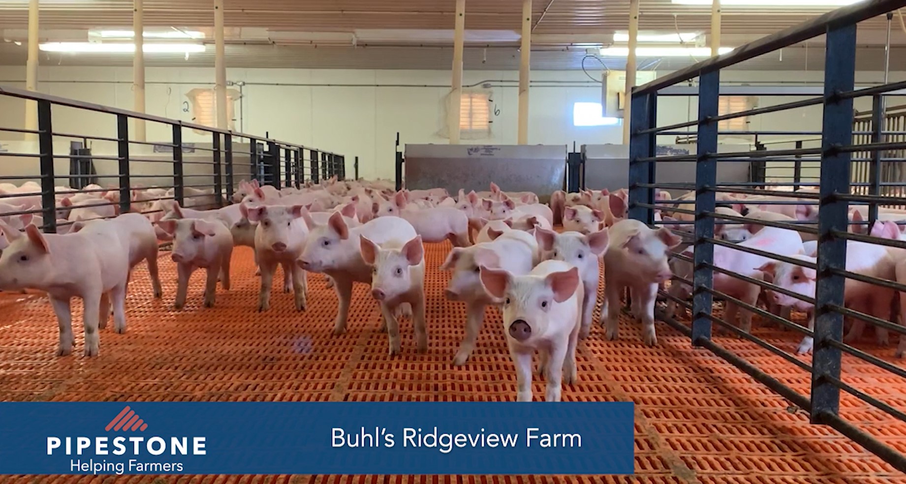 Buhl’s Ridgeview Farm A Leader in Sustainability Pipestone