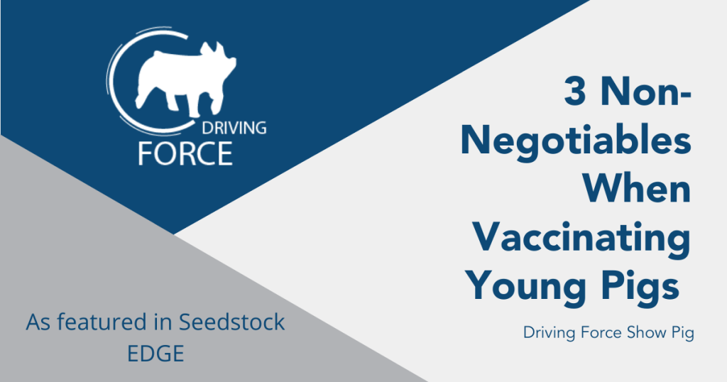 Driving Force Article Pipestone