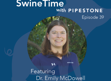 SwineTime Podcast Episode 39: Can We Eliminate Mycoplasma?