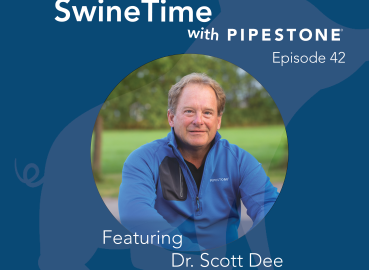 Episode 42: Feed Risk with Dr. Scott Dee