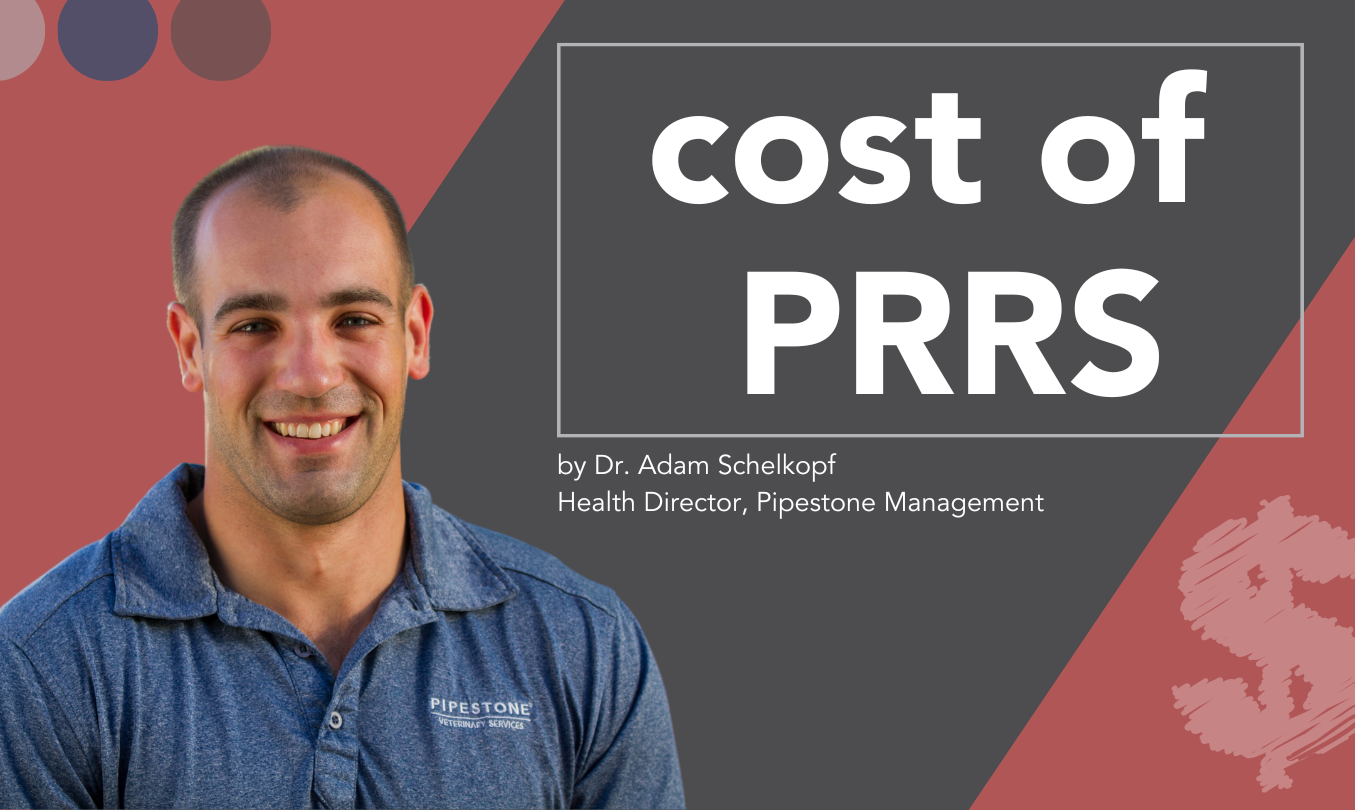 Cost of PRRS