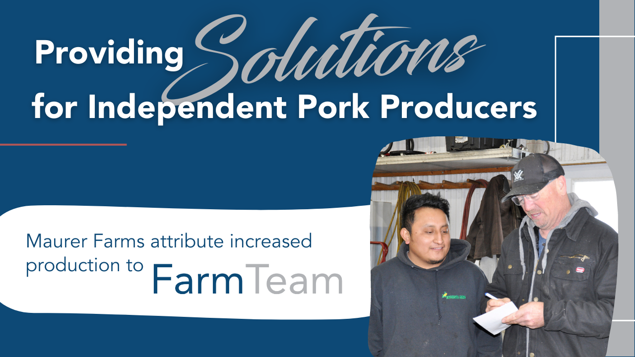 Providing Solutions for Independent Pork Producers