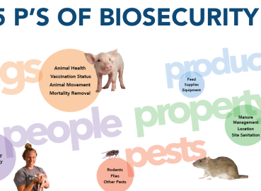 Utilizing Products to Improve Wean-to-Finish Biosecurity