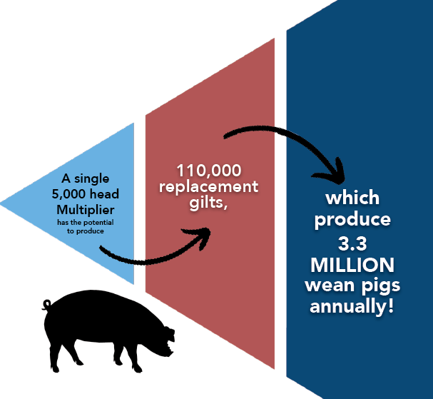 Screenshot 20231121 111145 Pipestone