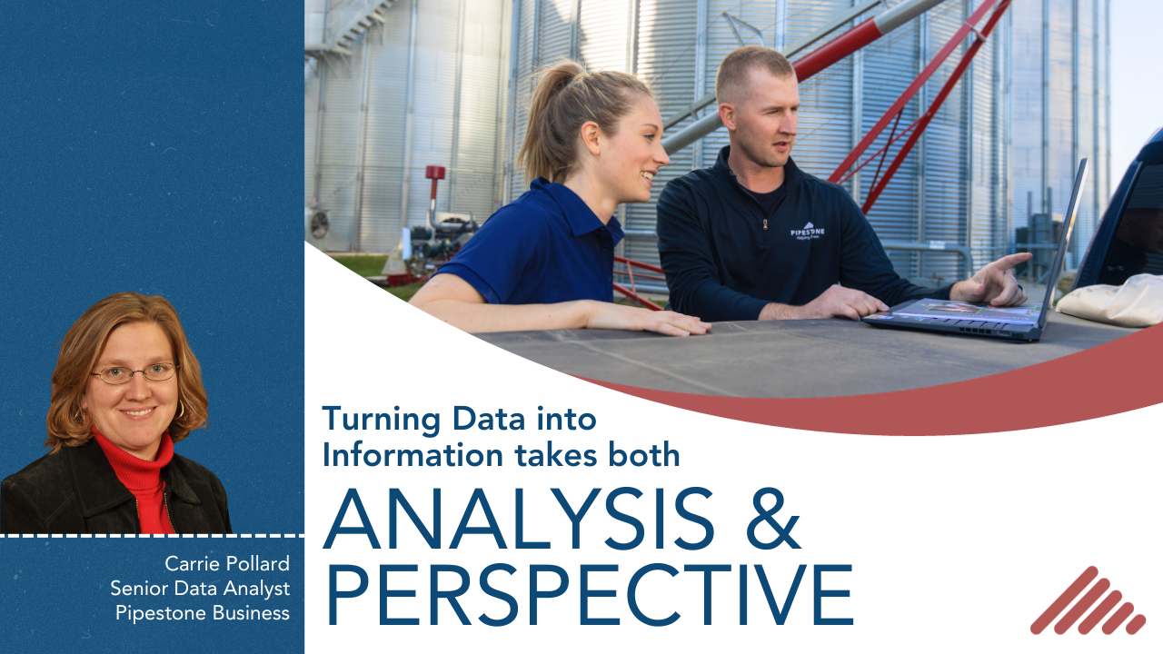 Turning Data into Information takes both Analysis and Perspective
