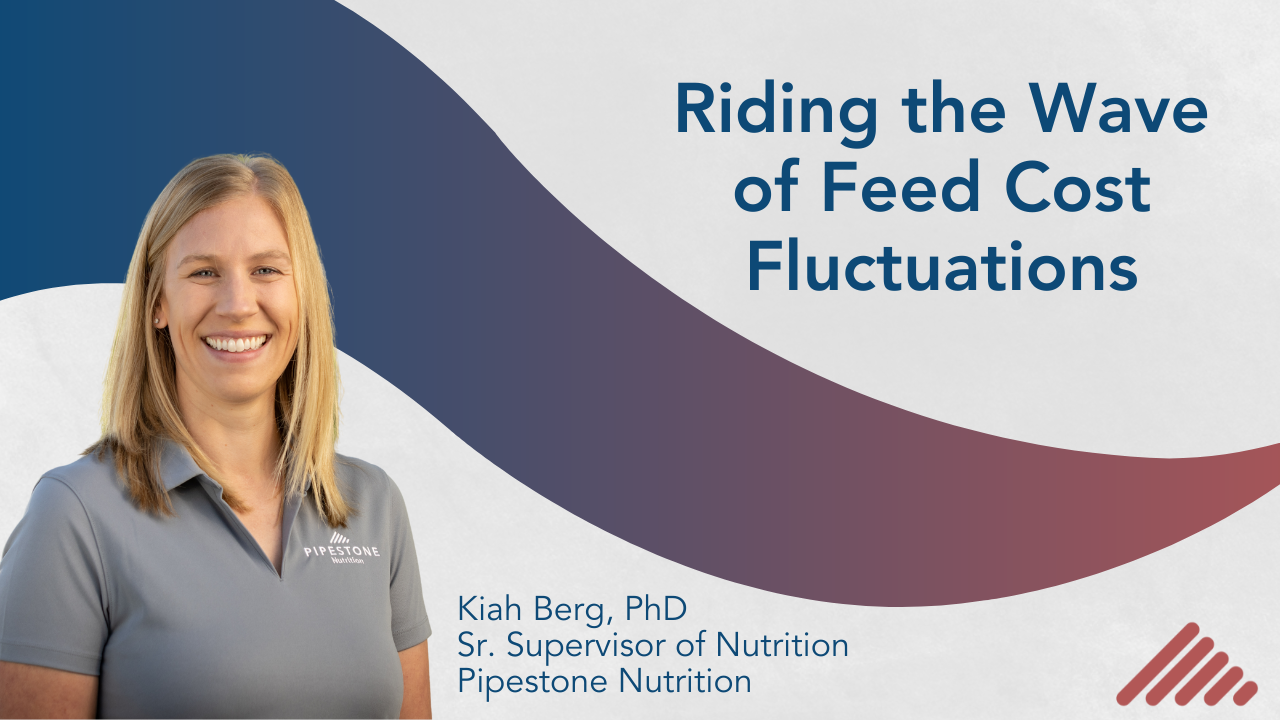 Riding the Wave of Feed Cost Fluctuations