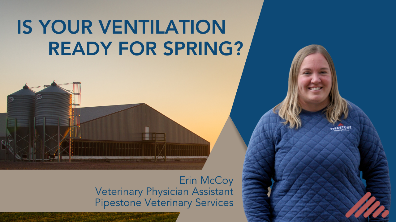 Is your Ventilation Ready for Spring?