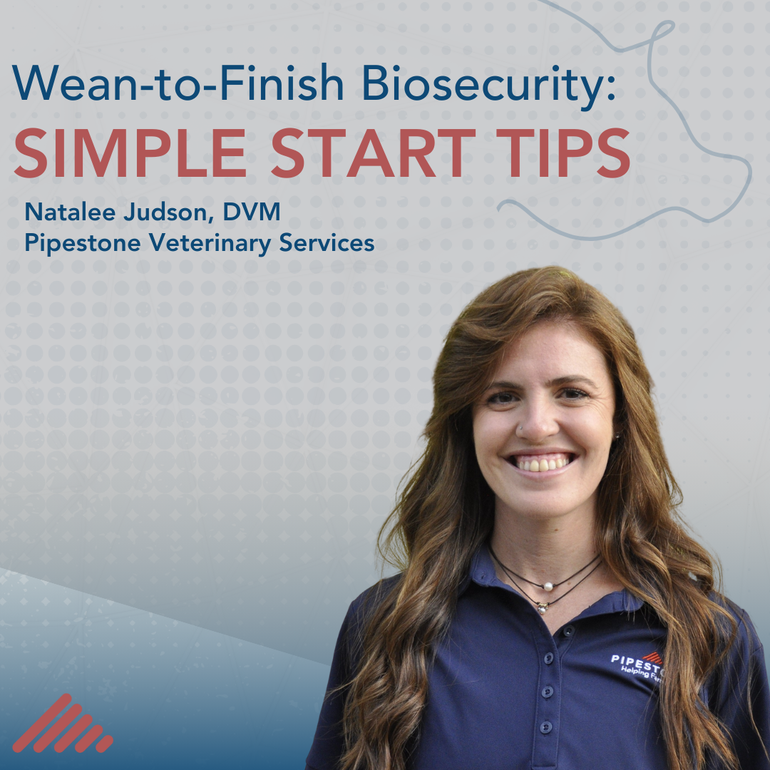 Winter 2024 articles (1080 x 1080 px) (9) Pipestone