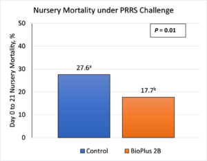 A graph displaying the reduction in pig nursery mortality percentages when the sows were fed BioPlus 2B.