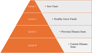 A biosecurity pyramid that provides a biosecurity level for pig farms based on their health status that helps you make decisions for ordering feed for your pigs.