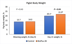 A graph displaying the improvement in average daily gain and feed conversion in pigs from sows fed BioPlus 2B when under a PRRS challenge