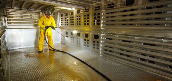 A worker pressure washes the inside of a swine transport trailer.