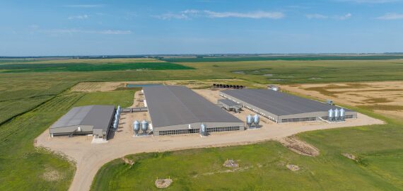 An aerial photo of a swine farm location.