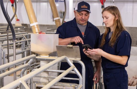 Two swine barn workers stand in a farrowing room while looking at a handheld device.