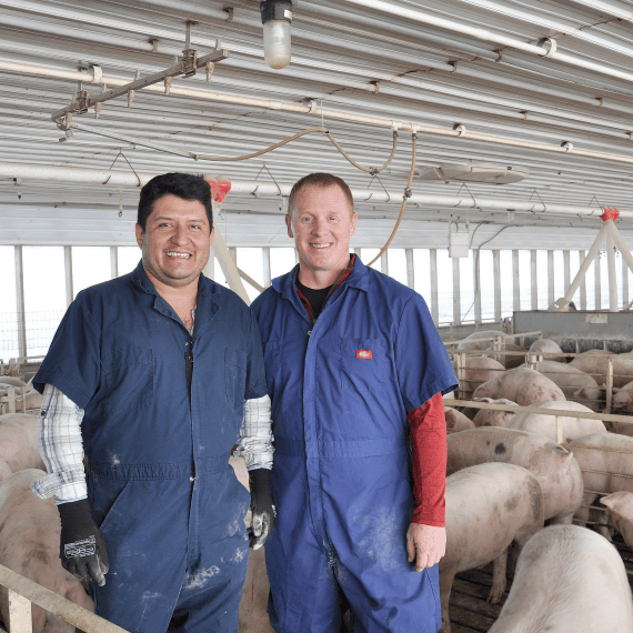 A farmer and an employee stand in a swine barn pen.