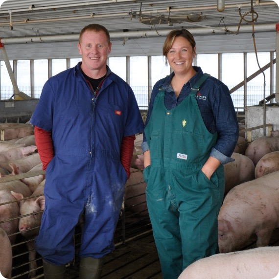 A farm owner and a swine veterinarian stand in a pig barn pen.