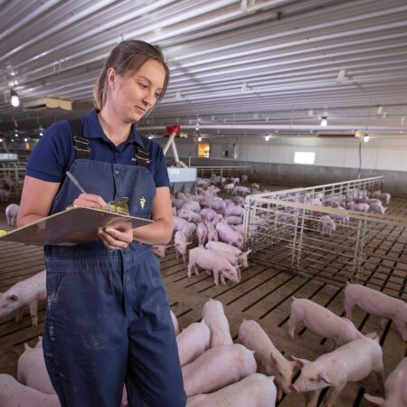 A FarmPro team member stands in a swine barn pen and takes note of where changes could be made to improve efficiency.