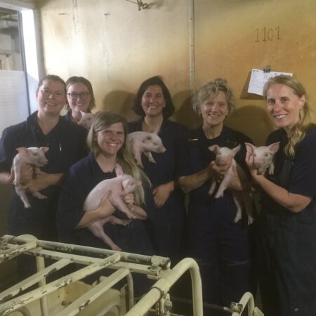 A group picture of the pipestone animal welfare panel members standing in a swine barn all holding piglets.