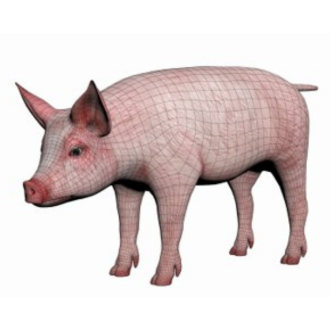A computer image of a pig with a net looking image over it to calculate its size.