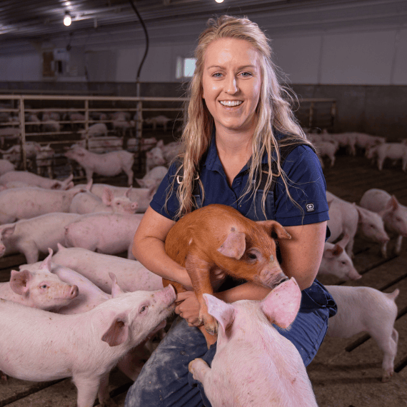 A swine nutritionist holding a pig while kneeling in a swine barn pen.