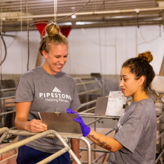 Two swine barn workers stand behind a sow in the farrowing room and look at the paper with her data and information on it.