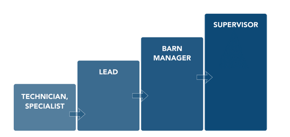 A graphic displays the job growth potential for a team member: technician, lead, barn manager, and to supervisor.
