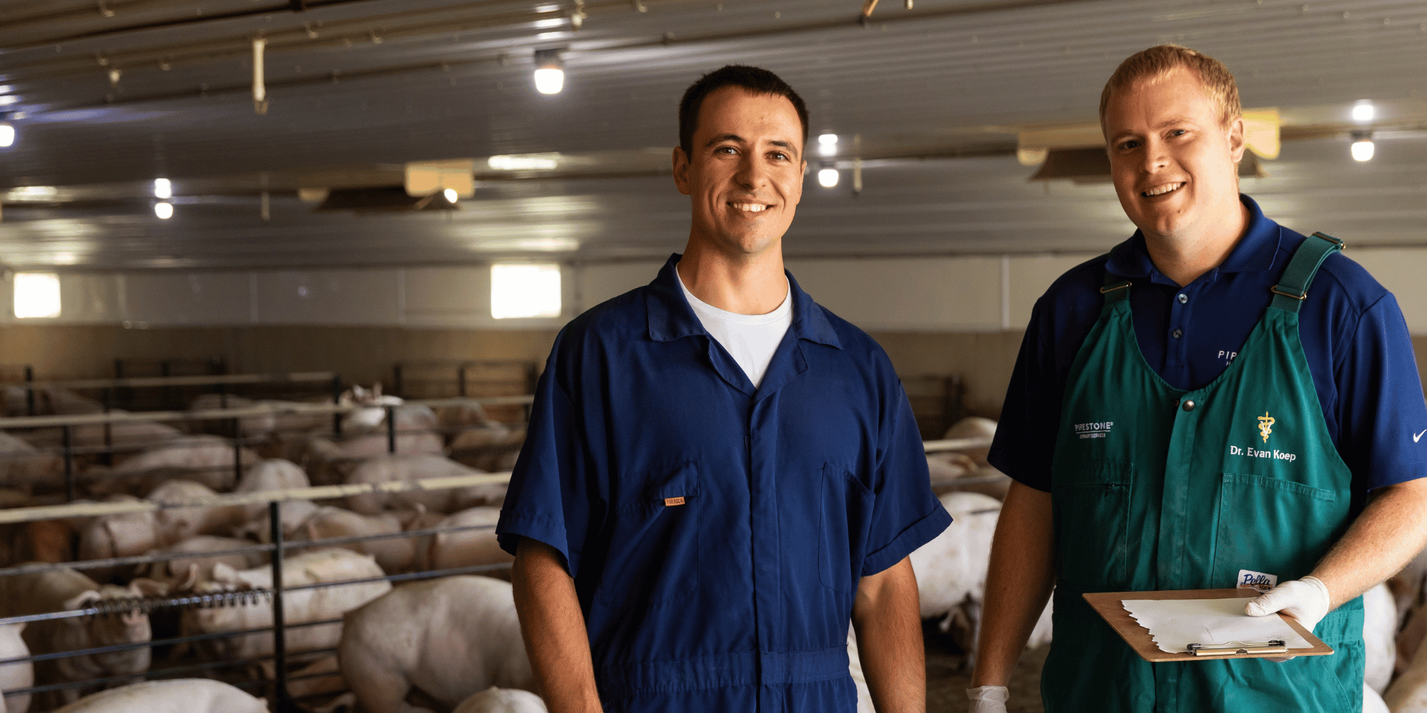 A swine vet and a production consultant stand together in a grow finish pig farm smiling.