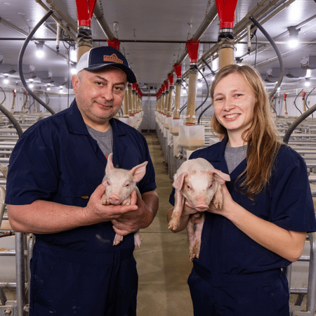 Two sow farm team members stand inside a barn holding piglets.